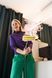 Пароочиститель KARCHER SC 3 Deluxe Anniversary Edition 1.513-436.0 фото 10