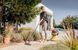 Порохотяг KARCHER WD 5V-25/6/22 P S (1100Вт) 1.628-300.0 фото 7